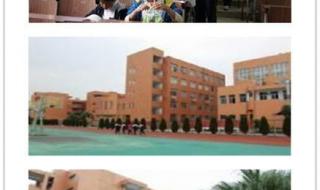 瓯海区实验中学