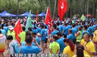 河南电视台都市报道 河南电视台都市报道