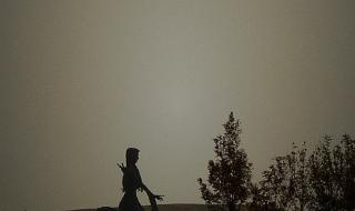 绍兴电信网上营业厅