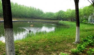 野鸭湖湿地公园