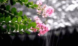 清明时节雨纷纷搞笑 清明时节雨纷纷搞笑