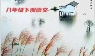 八年级下册语文期末