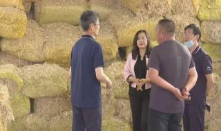 内蒙古农业大学专业