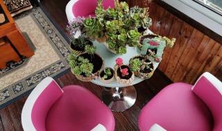 园艺工程师 园艺工程师