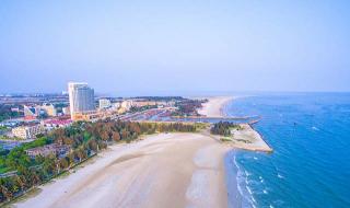 动物迁徙qq红包怎么画 动物迁徙qq红包怎么画