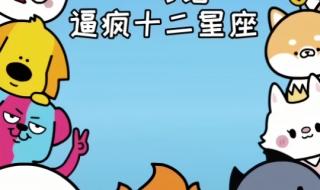 狗都不谈的四大星座