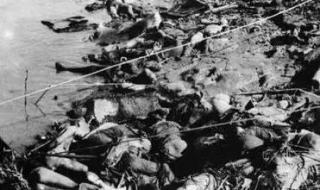 南京不给日本车加油