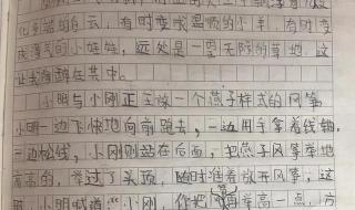 三年级下册作文大全