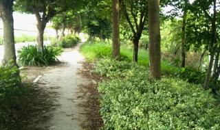 番禺滴水岩森林公园