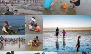 大连旅游攻略自由行 大连旅游攻略自由行