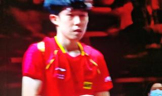 世界杯总决赛乒乓球